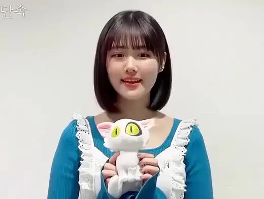 하라 나노카 일본 여자 배우 연예인 예쁜 여배우