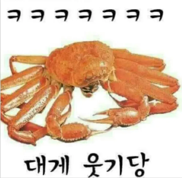 대게 대게 웃기당 ㅋㅋ 웃김
