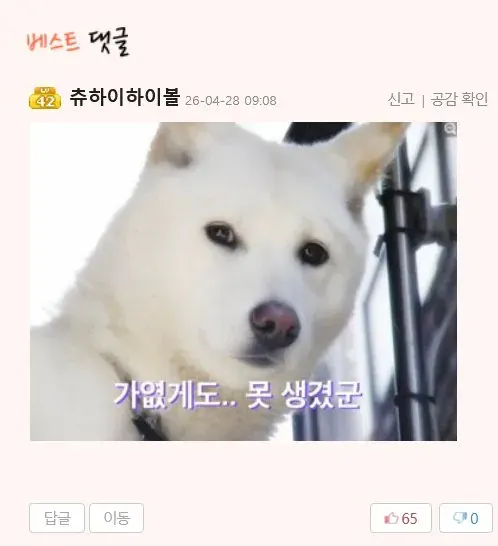 가엾게도 못생겼군 백구 반응