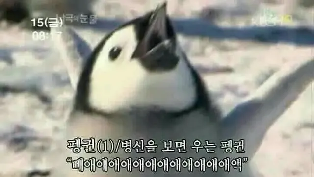 병신알림벨