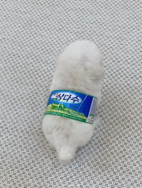 멍짤