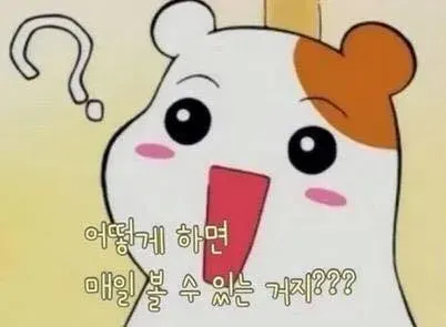 에비츄 햄토리 어떻게 하면 매일 볼 수 있는 거지