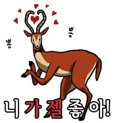 니가젤좋아 럽럽 러브러브 아재 아재개그