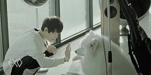 백현 강아지 EXO 엑소
