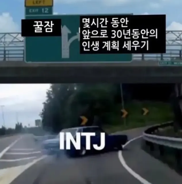 INTJ MBTI 특징 인생 계획 30년 꿀잠 드리프트 짤 공감
