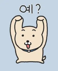 ㅖ? 예 ㅖ 강아지 당황 멍청 물음표 못알아들음 귀여운 짤 만세