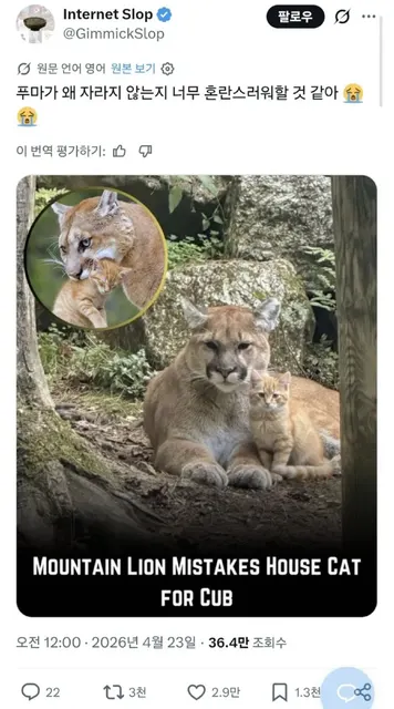 어딘가 작고 소중한 우리 막내